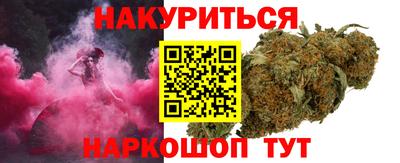 дмт Гай
