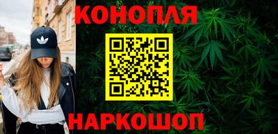 дмт Гай