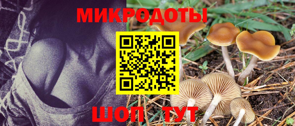 Псилоцибиновые грибы мицелий Миасс