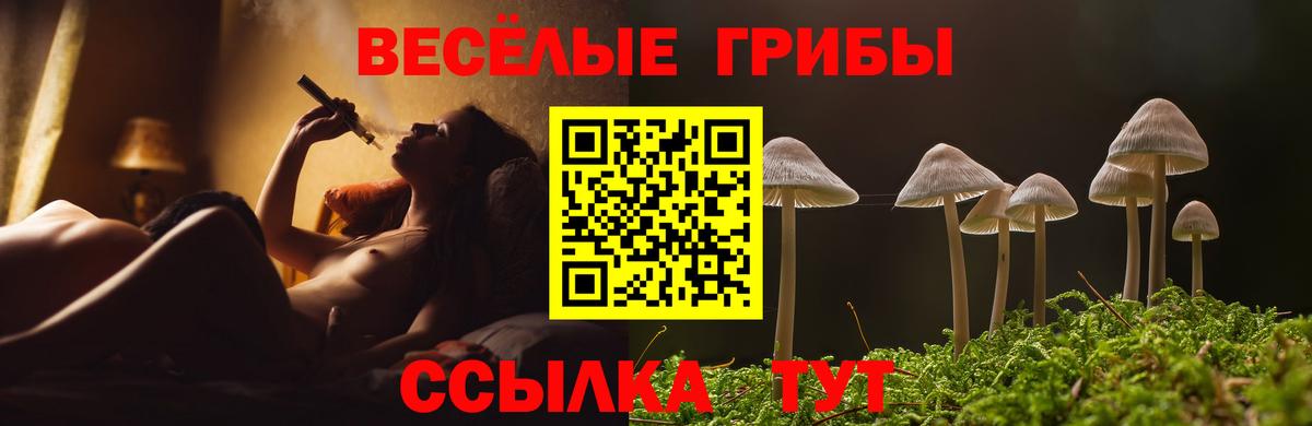 Галлюциногенные грибы прущие грибы  Вход с VPN  купить закладку  Миасс  Псилоцибиновые грибы Cubensis 